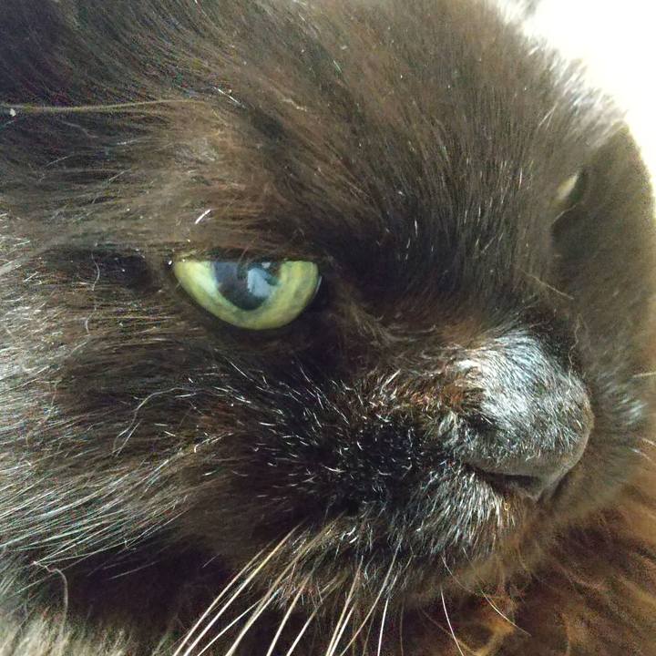 A534e3f1 0b18 43c2 9fef 5d162ecec0de 1667045507905