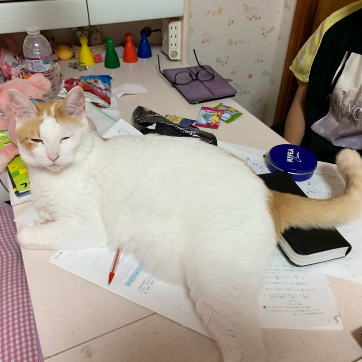 A534e56e c0ae 44b5 b8af ab11f8d03798 1564668812930