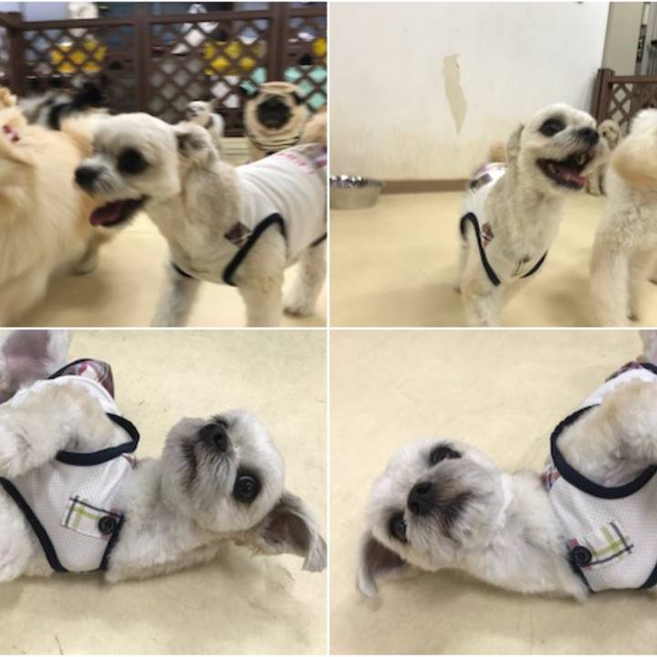 A5352576 f9d6 419d b811 33d20f513245 1528978681228