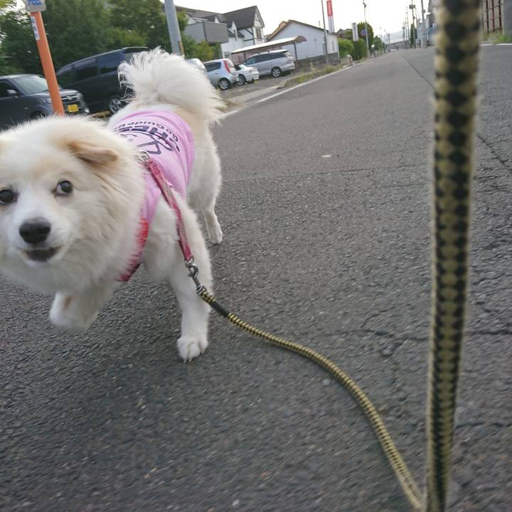 A5353129 5699 4aa3 9a43 f4fe208ce79d 1534628838262