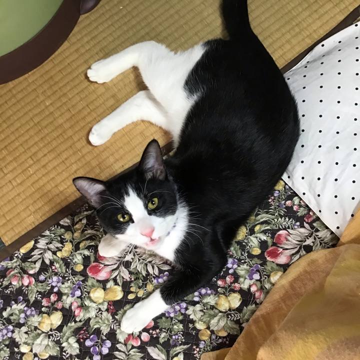 A53540d0 a7e8 4bcc b6e7 d5a5a04d248e 1640394514084