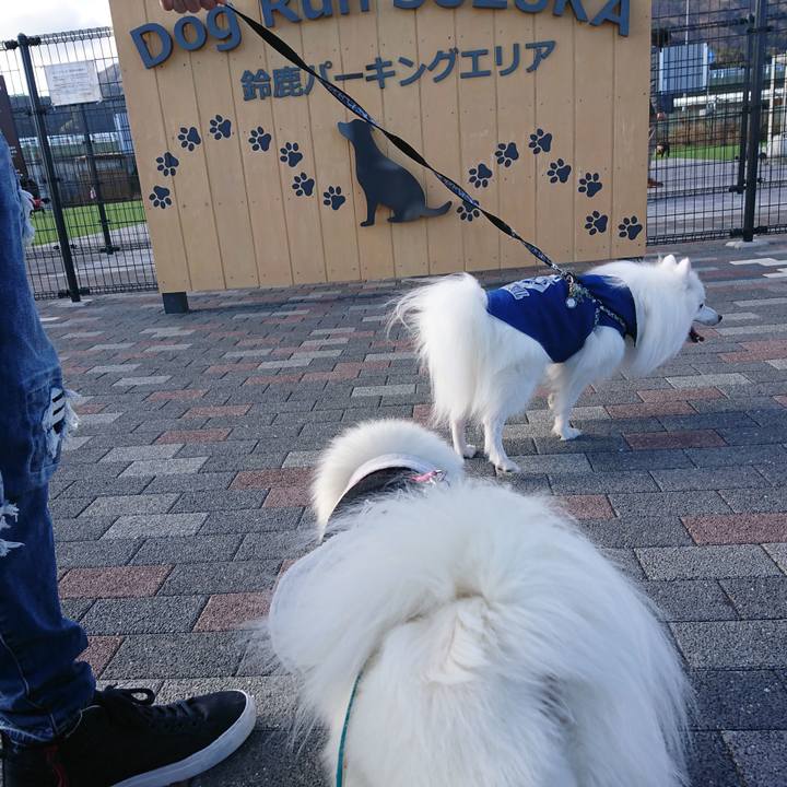 A535728f 292b 487d 9e6d 249479fdae52 1577512538180