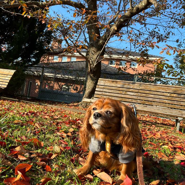 A5357373 4a3b 4a13 9187 be3f87b6934a 1668211484104