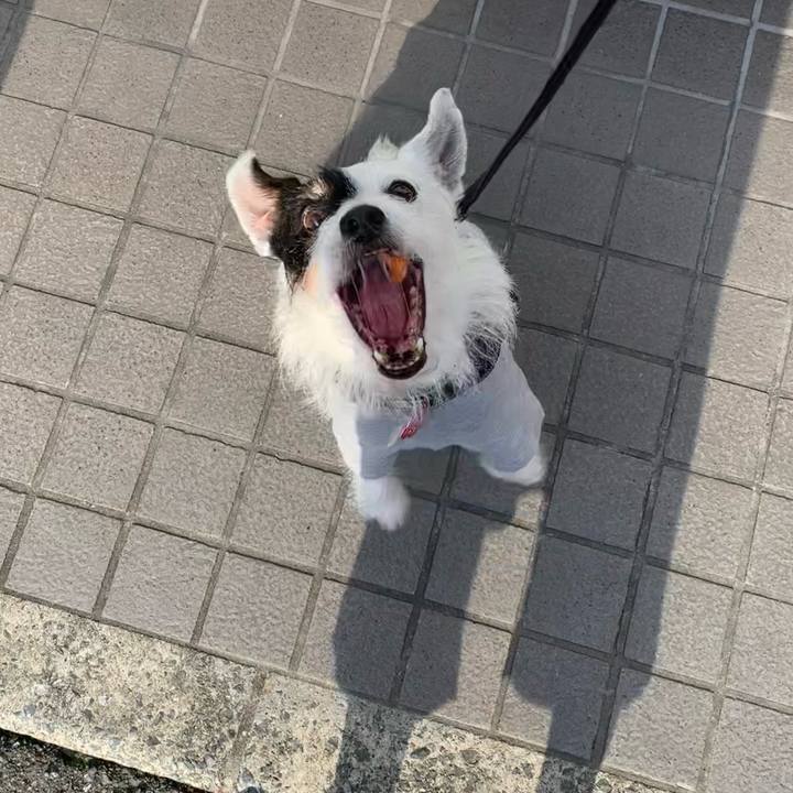 A53574f9 7a8d 4f11 81c1 4459654fbd69 1686125126643