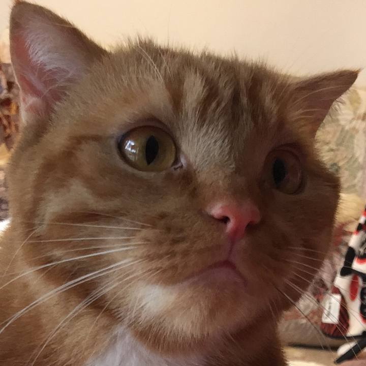 A5359baa da2e 4fd3 a173 f9a353a6b848 1525477985690