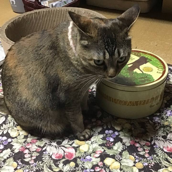 A5359be3 c5e6 4945 8dd9 0d48855ddb26 1718621811022