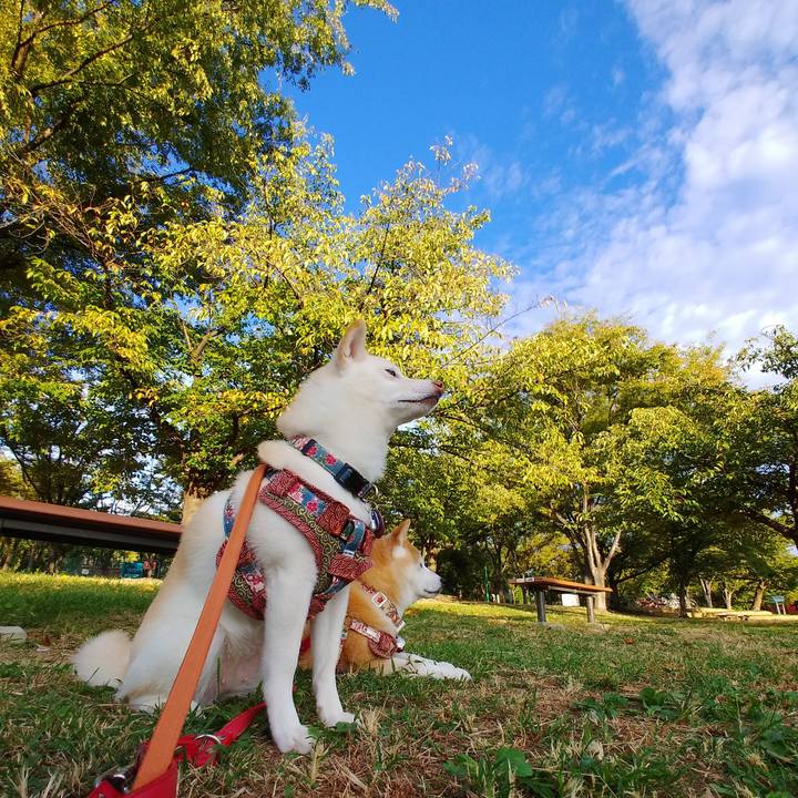 A5360374 56d7 4a0d a7cd d9309911c499 1570229301700