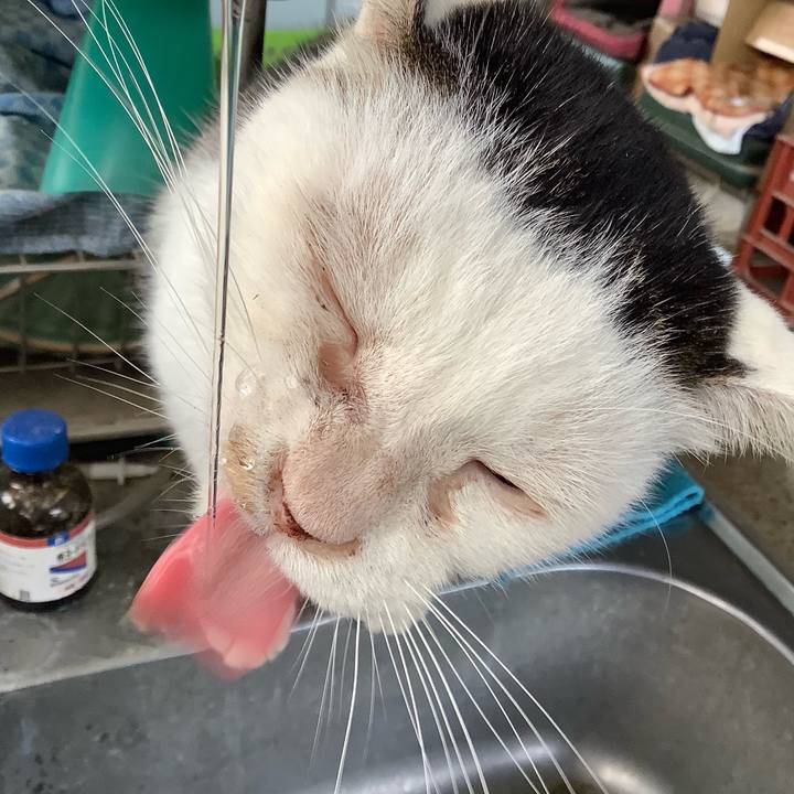 A5361c9c 8de8 455e 94fe 285c56b4991a 1571027518541