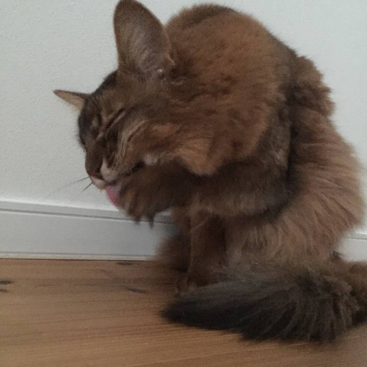 A53638f5 55a3 4e5a a1c6 b5ae6f27f2ff 1614478879320