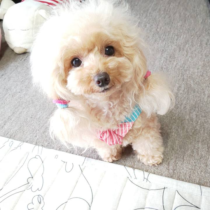 A5364c50 bcf0 4585 bd44 58c759aebb48 1569498759982