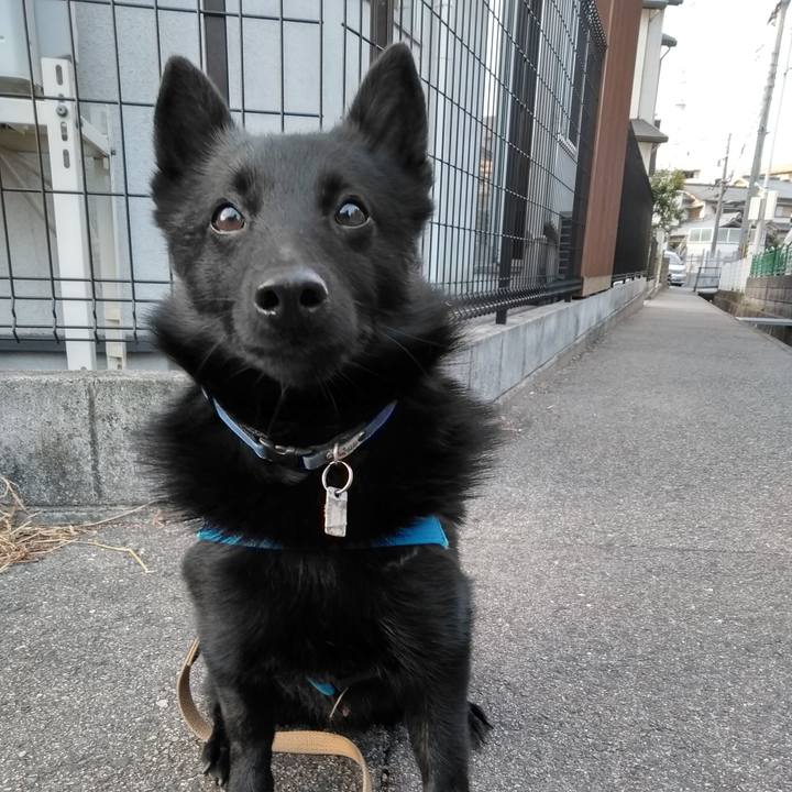 A5366d8b e2fd 4deb 9dba 62f4a46bd64c 1550875151478