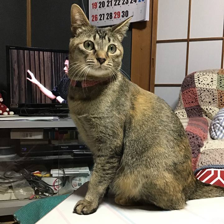 A5366e94 84ab 413e 9fac b26aef59c75a 1586599981273