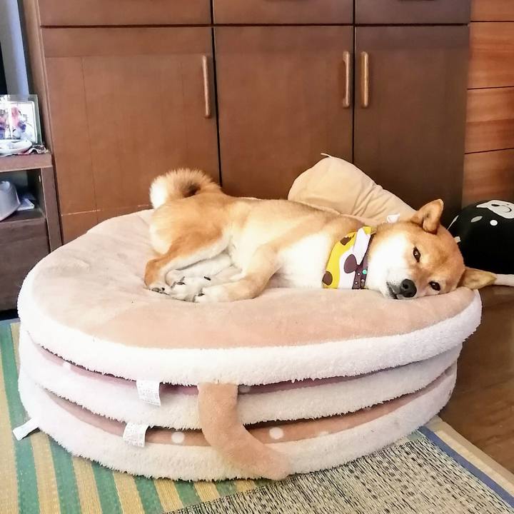 A5368a94 630d 4170 a836 593da4e6f256 1589714816331