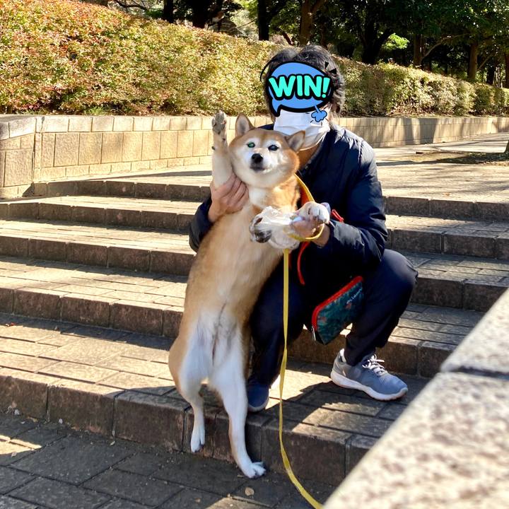 A536cf63 e20f 42c8 85be 2cd3cb538baa 1637812356791