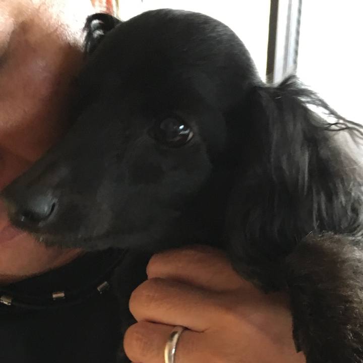 A5372b69 dc9f 4b75 a21e 4dcb300e9ee4 1507961905618