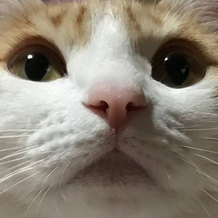 A5374e97 078b 49d0 b4f9 eea6ce329a77 1516436709378