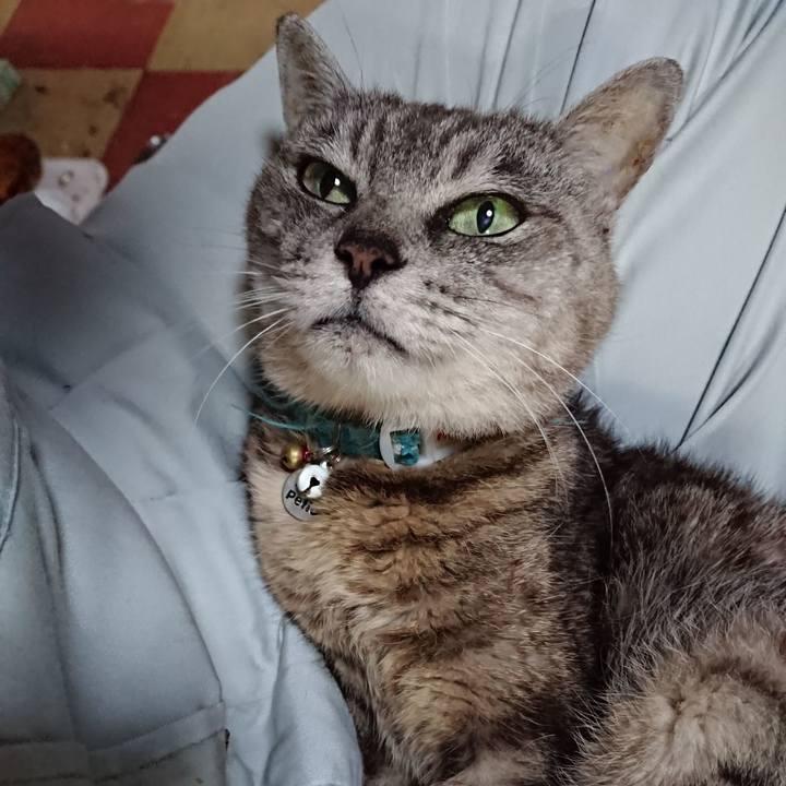 A5375e72 f7b8 42f8 83b3 a9640d572a23 1566165701438