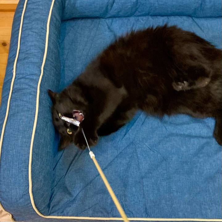 A5378e6b fb69 4ed1 a077 732bdccbf496 1736307190400