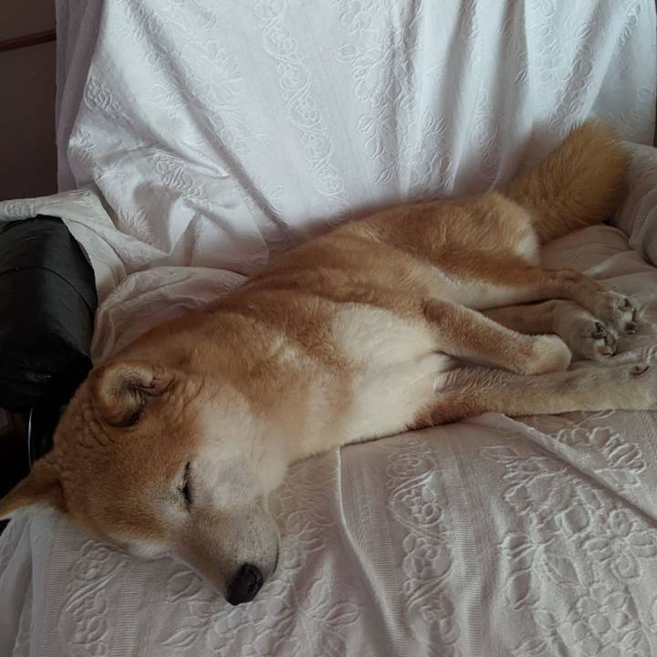 A537a329 dfa2 4592 8c76 9df0a3b2b745 1723701149616