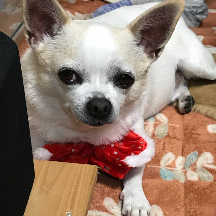 A537ac1e cc6e 4ad4 8a8b d13b649fe317 1513922304705