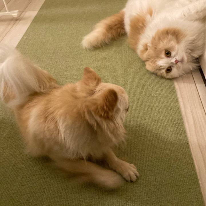 A537c32c 8d24 4af8 9c8f 31da3fc6a607 1620601704107