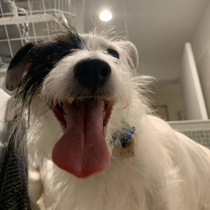 A537e913 eebb 4f34 bf12 6707c63c7f0b 1628245857671