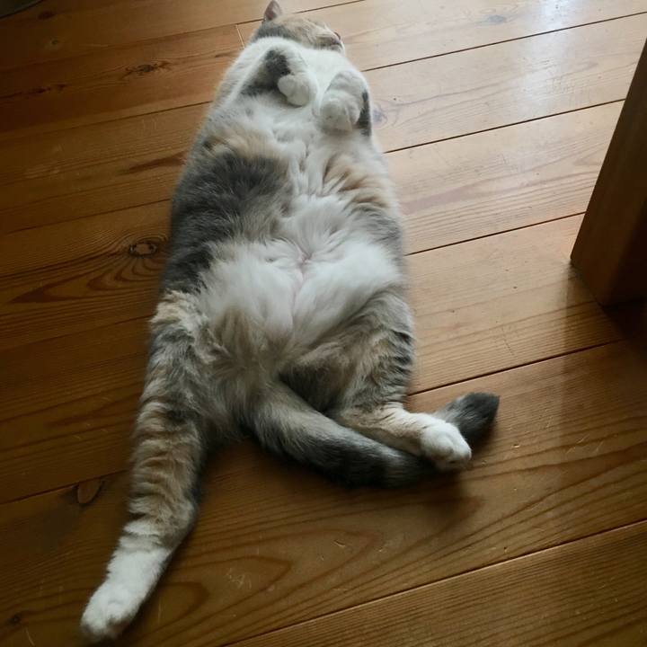 A537f1fd de54 4e02 ab39 d7891e4ac0e8 1567676519619