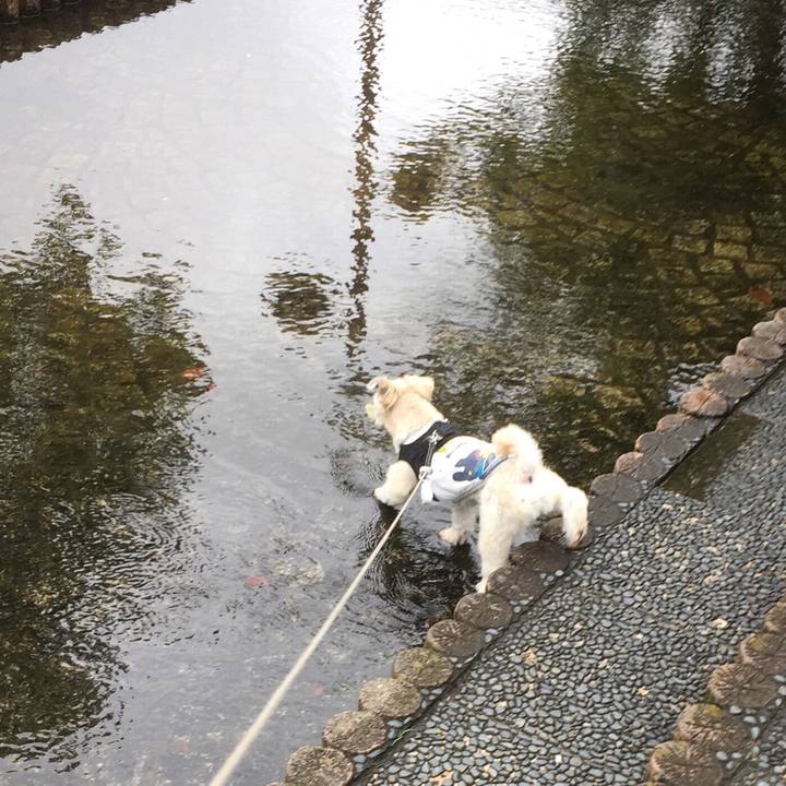 A538693b 3d02 4d18 a65d 266ed9670fe2 1535859614753