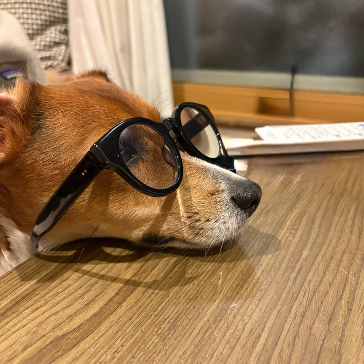 A5387c00 3af4 40aa 970b 8d022d10af47 1766330621033