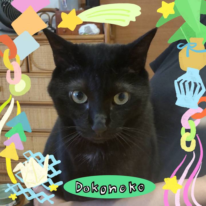 A538d81b 79d5 4642 b516 e352500d8a0a 1755400032769