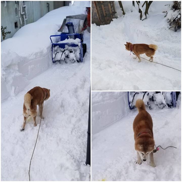 A5391b7b f569 4a5c 97c7 5b6870327f7f 1769471232860