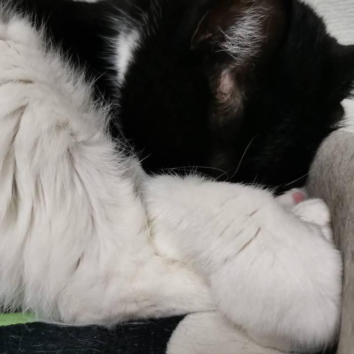 A539364b 2b9a 4971 a9cb 12148fec06db 1712465202984