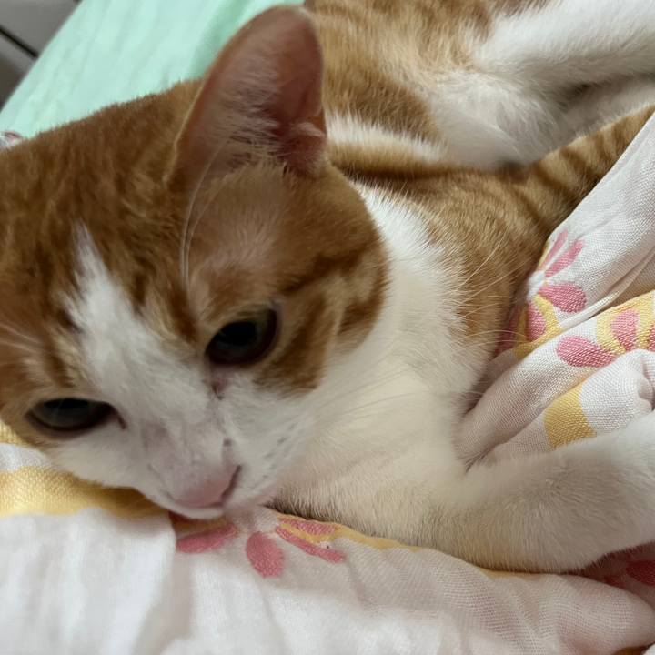 A5393ed0 8387 4abf 9e55 6496d18bc214 1660881348358