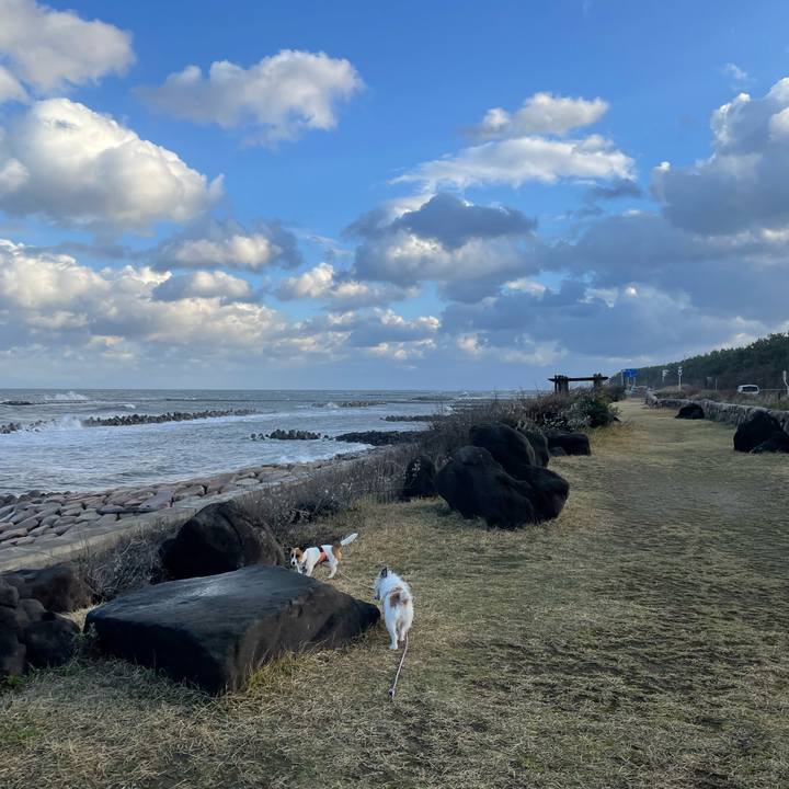 A53940c4 30f7 45a9 b9ef ec3d6c00a6da 1637624640570