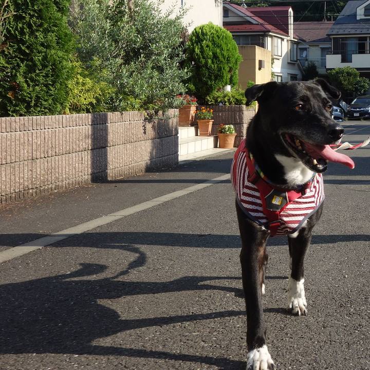 A5394a44 39ca 499b 9965 abcb5d93d0c3 1689637778150