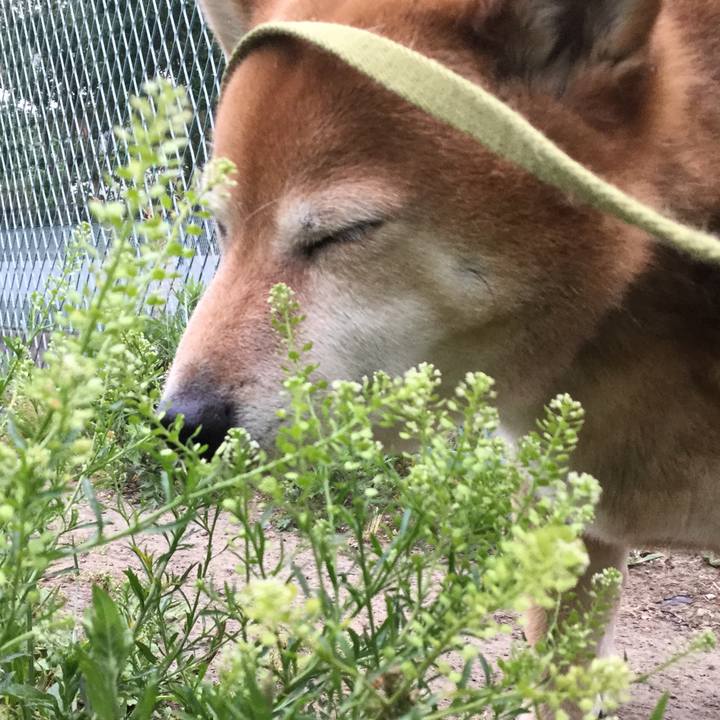 A5394f4c e7ac 4083 834c 3b6c28719299 1590659368746