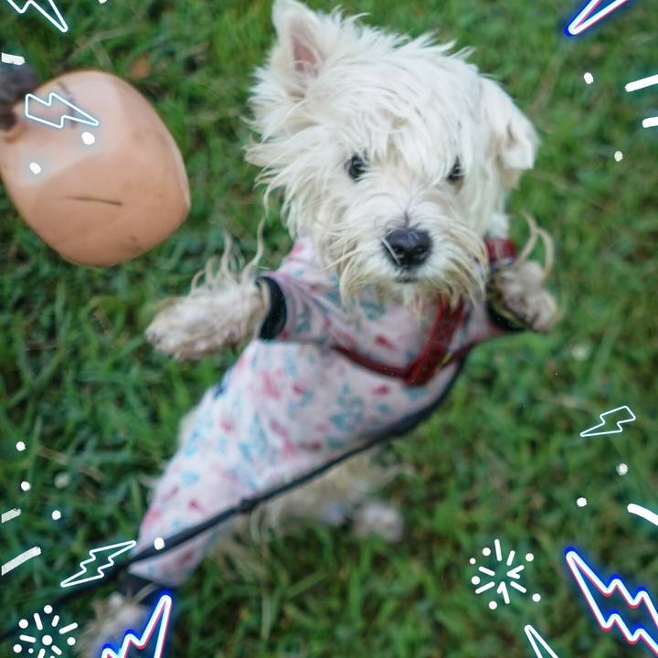 A5395a54 17a9 4898 8455 119ee52947b9 1533098416514