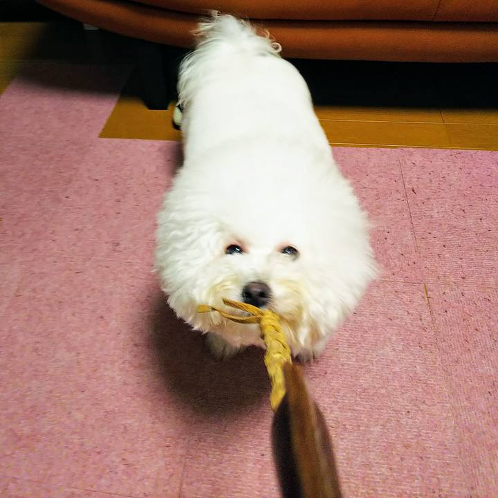 A5395d30 0788 4e95 bdce 1537d6a63431 1542366184263