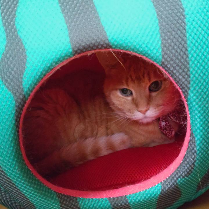 A53960dc 3567 4a41 ab15 5f557b879260 1628996335303