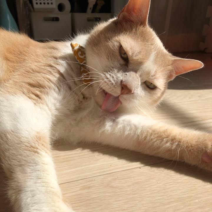 A5396eae 7946 427f 8fe5 f984a00c3566 1590805419131