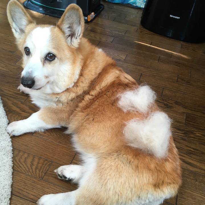 A5397b1b cd2f 495f 9c19 6c482982df14 1613185059566