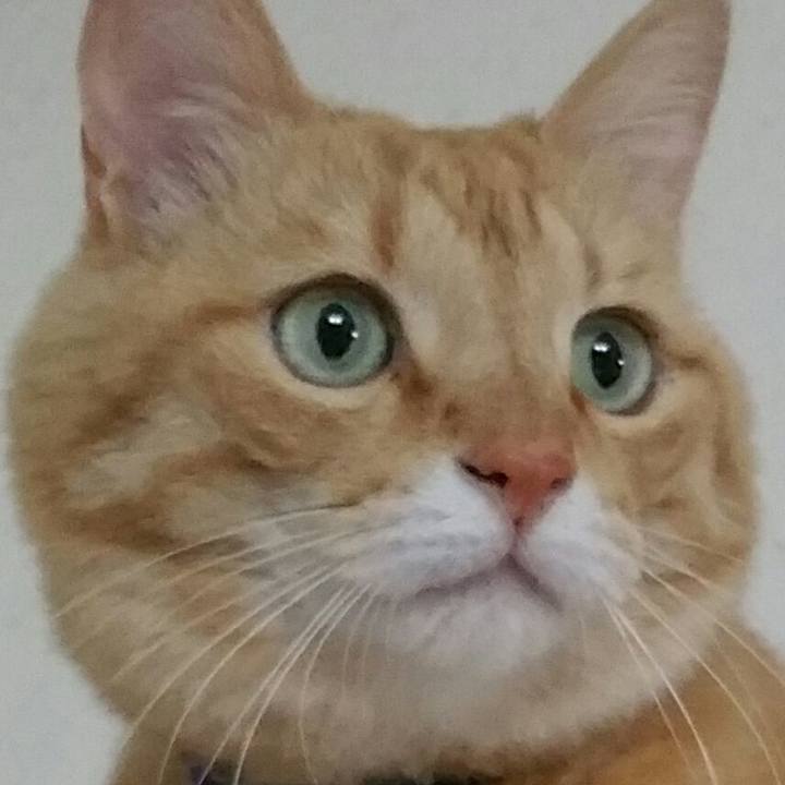 A539b4b7 8804 4498 bb7b 4b38e6e15e35 1559376660850