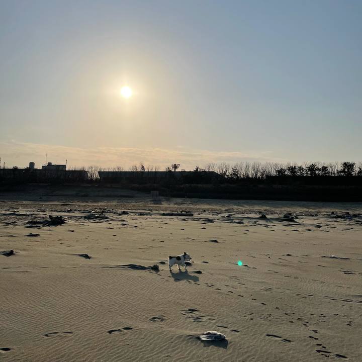 A539b992 3b62 496b bb5b 7da25f64d467 1613952179953