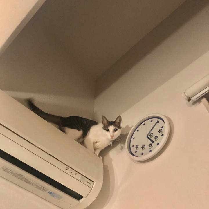 A539f0e0 f0bb 4e4f b130 40102a8f19da 1541664516404