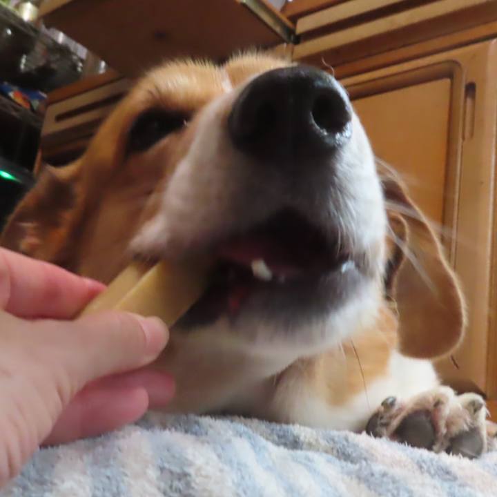 A53a065f 35e9 47e1 9a81 64c15b60f40f 1764989980005