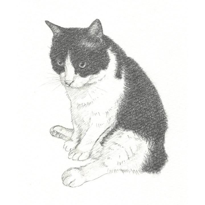 A53a2330 c8ed 4c01 a63e 840808a2281d 1544015942397