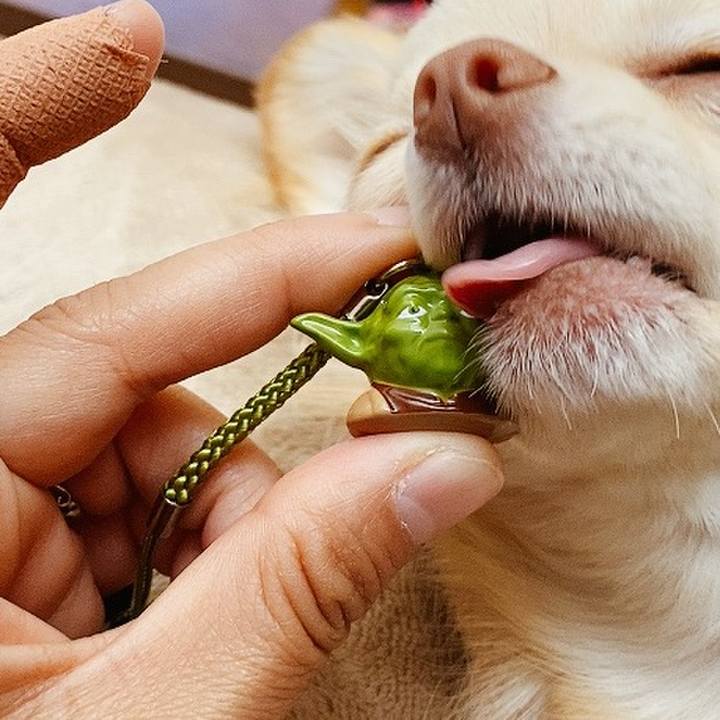 A53a2445 a924 48b6 8d74 72342b8792ae 1618108777594