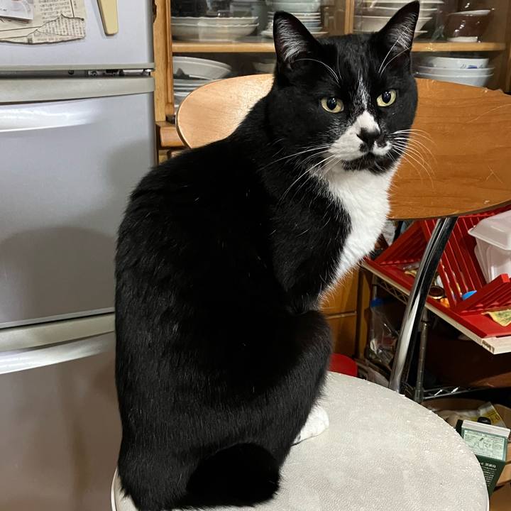 A53aab0e 5597 46bd b596 b3d8ed0da06f 1681271627768