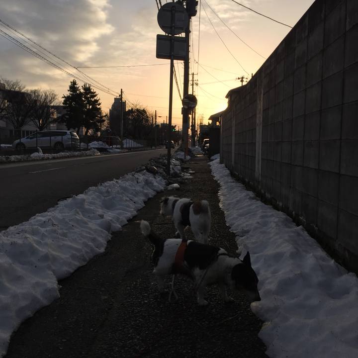 A53ab032 5ece 443b a519 966ee613a244 1516322197717