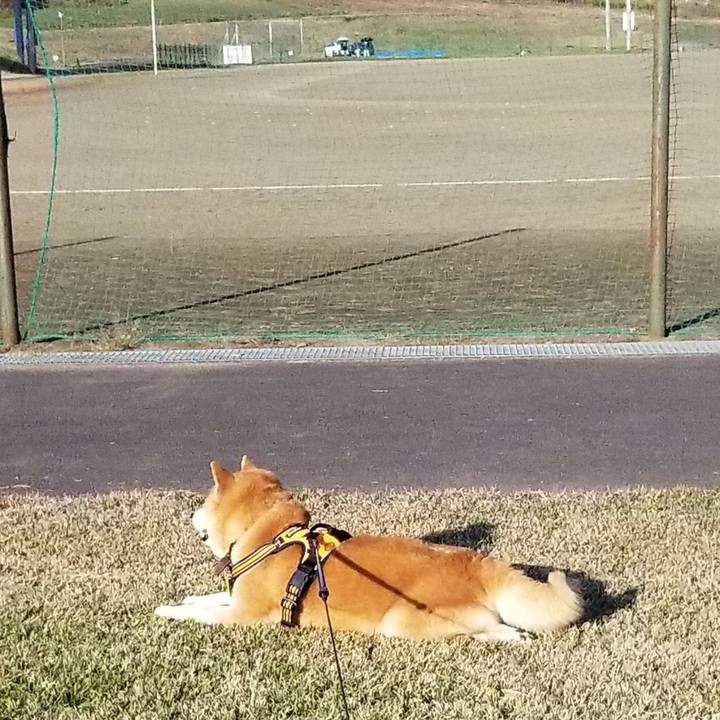 A53ab69f bfb2 43d7 b296 b61d3ef85f93 1605419371908